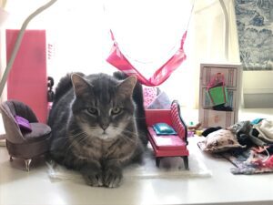 Grey cat laying down in the middle of a Barbie doll house.